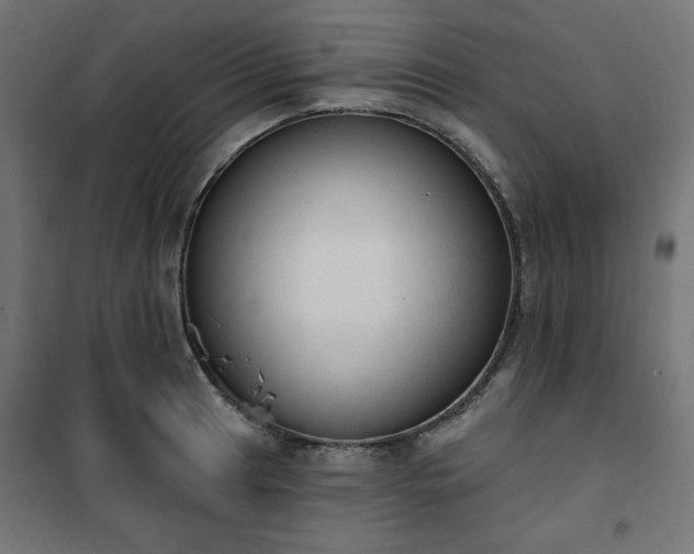 X0000101151041200807071144