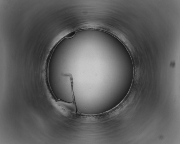 X0000101151042200807071144