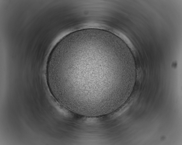 X0000101151043200807071144