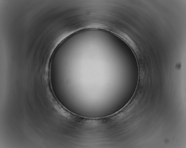 X0000101151044200807071144