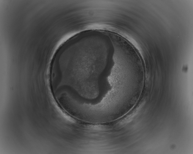 X0000101151045200807071144