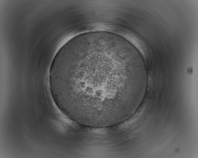 X0000101151047200807071144