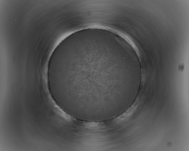 X0000101151048200807071144