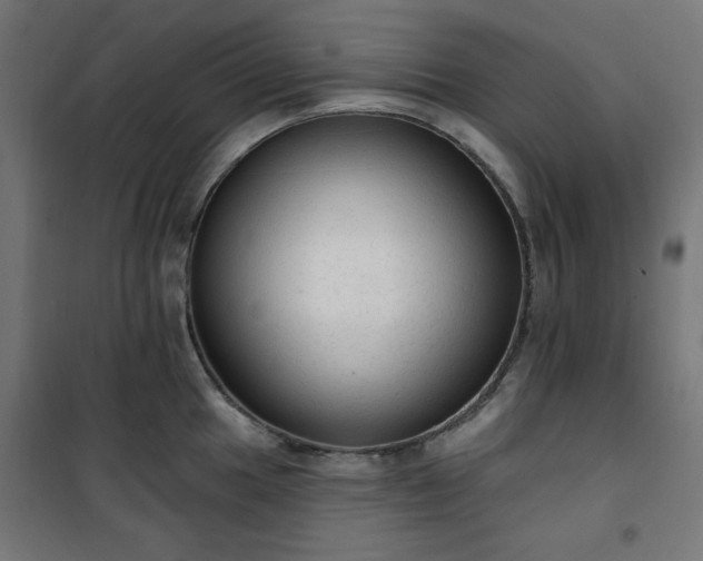 X0000101151049200807071144