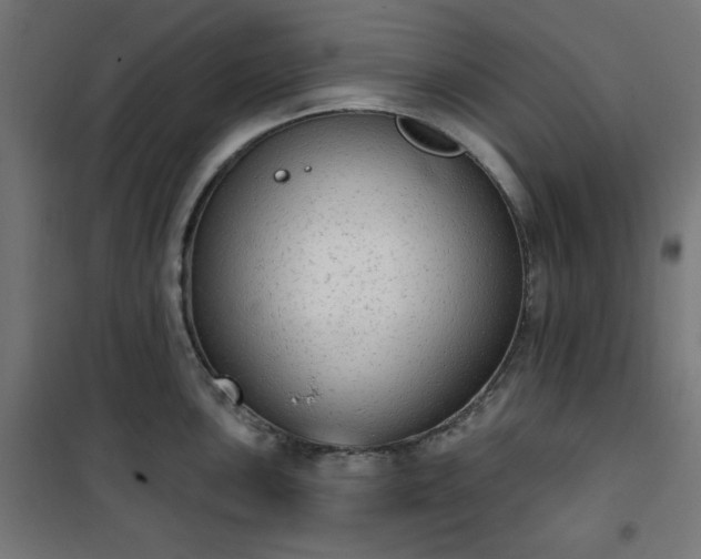 X0000101151051200807071144