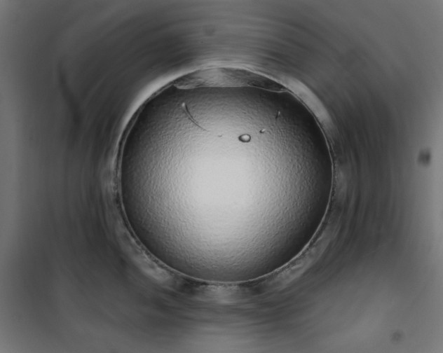 X0000101151052200807071144