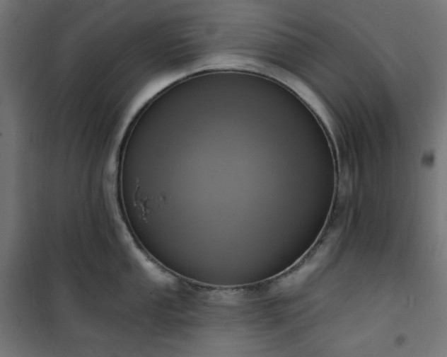 X0000101151053200807071144