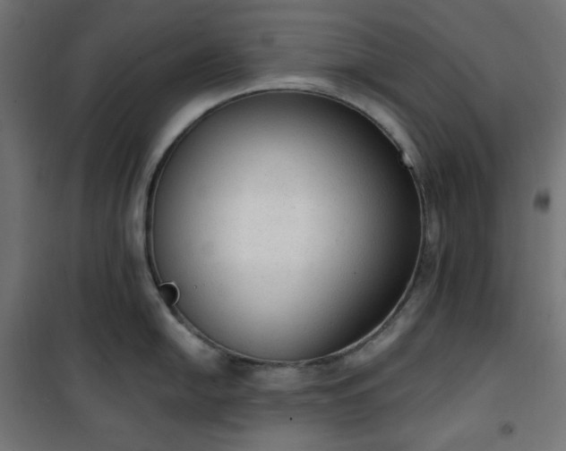 X0000101151054200807071144