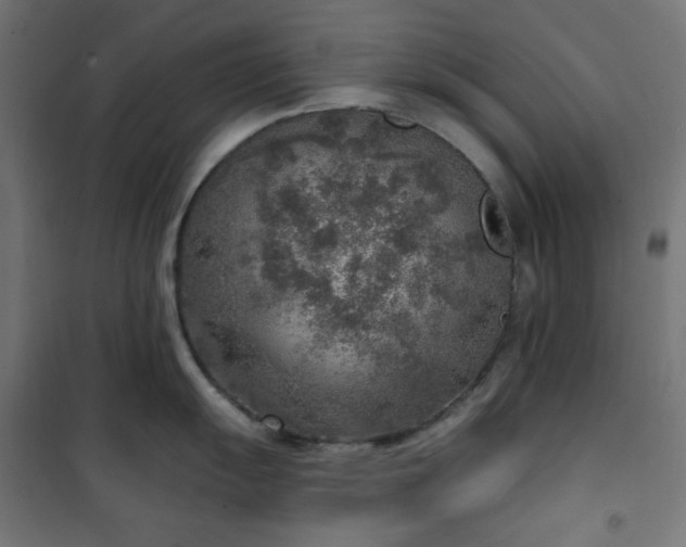 X0000101151055200807071144