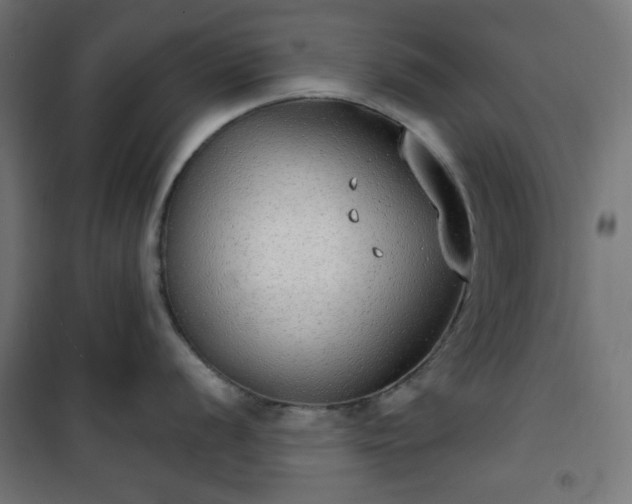 X0000101151056200807071144