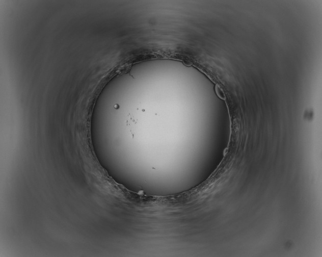 X0000101151057200807071144