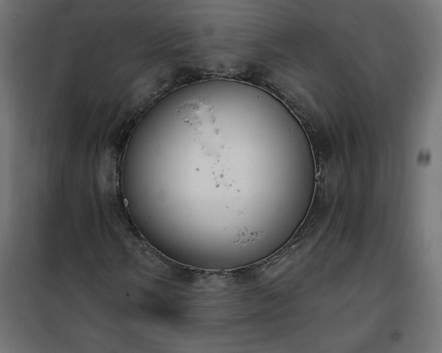 X0000101151058200807071144