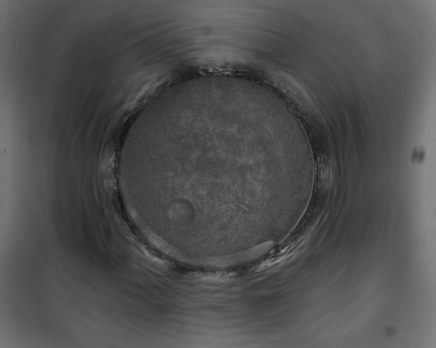 X0000101151060200807071144