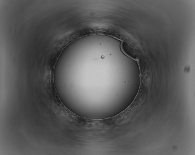 X0000101151061200807071144