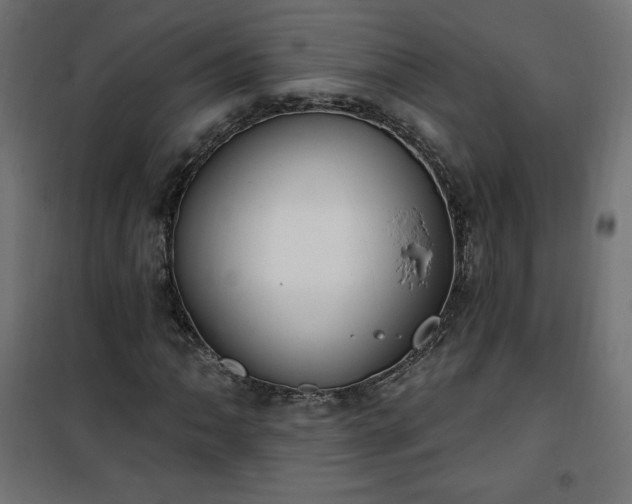 X0000101151062200807071144