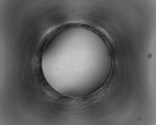 X0000101151064200807071143