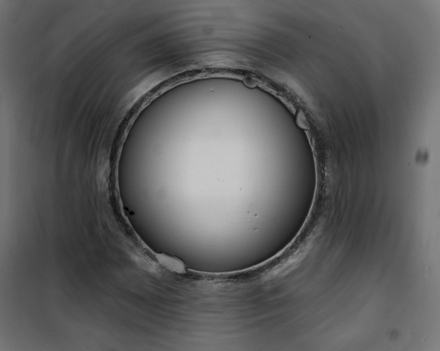 X0000101151065200807071143