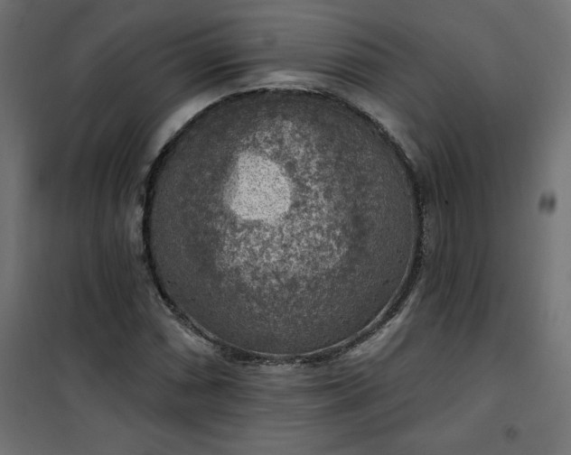 X0000101151066200807071143