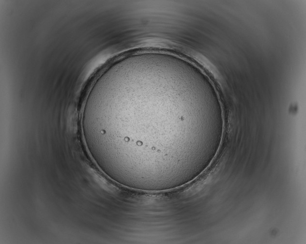 X0000101151067200807071143