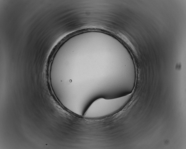 X0000101151068200807071143