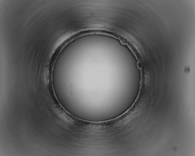 X0000101151069200807071143