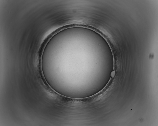 X0000101151070200807071143