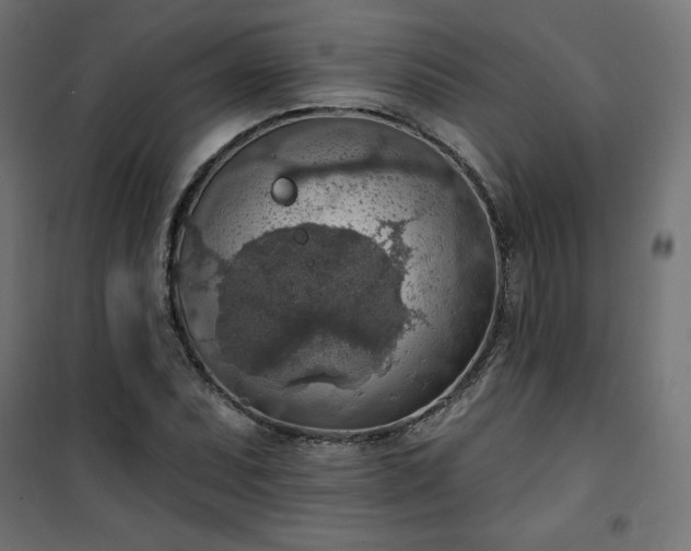 X0000101151071200807071143