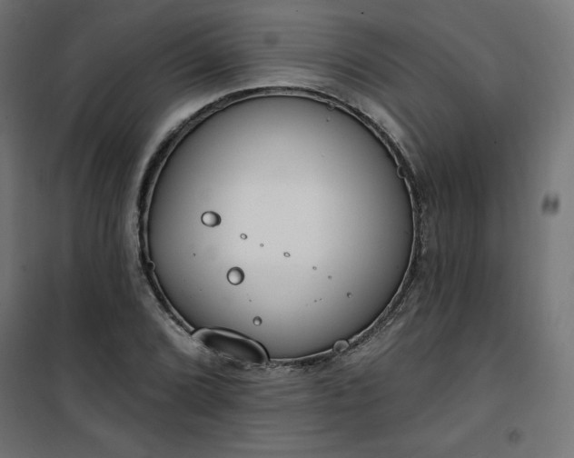 X0000101151072200807071143