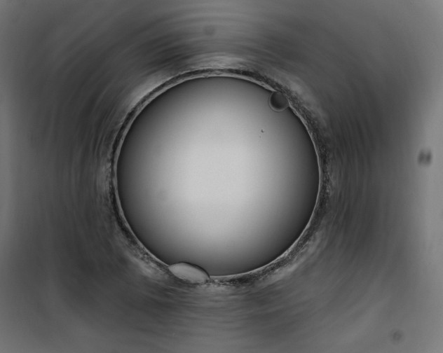 X0000101151073200807071143