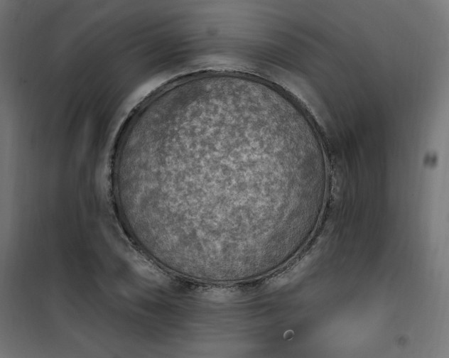 X0000101151074200807071143