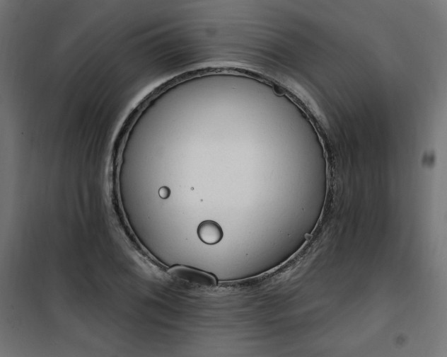 X0000101151076200807071143