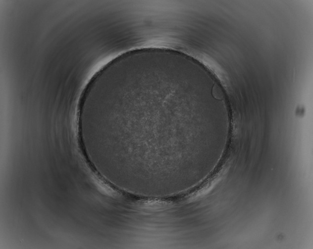 X0000101151077200807071143