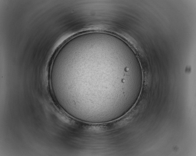 X0000101151078200807071143