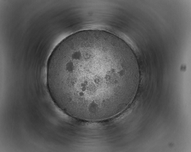 X0000101151079200807071143