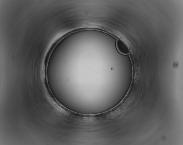 X0000101151080200807071143