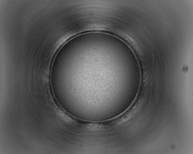 X0000101151081200807071143