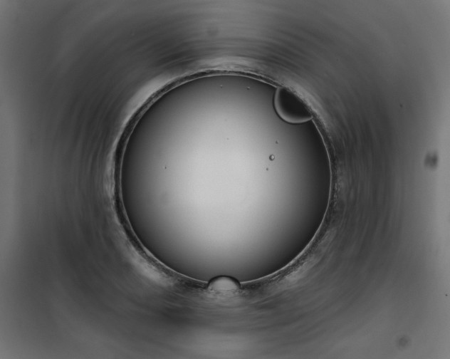 X0000101151082200807071143