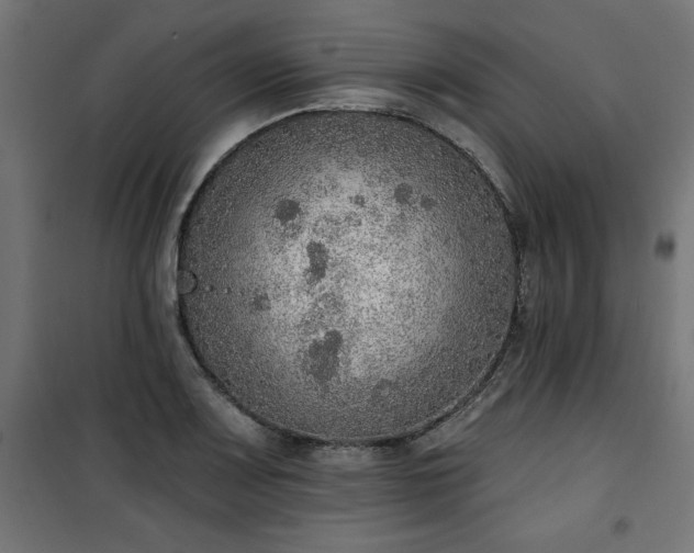 X0000101151083200807071143