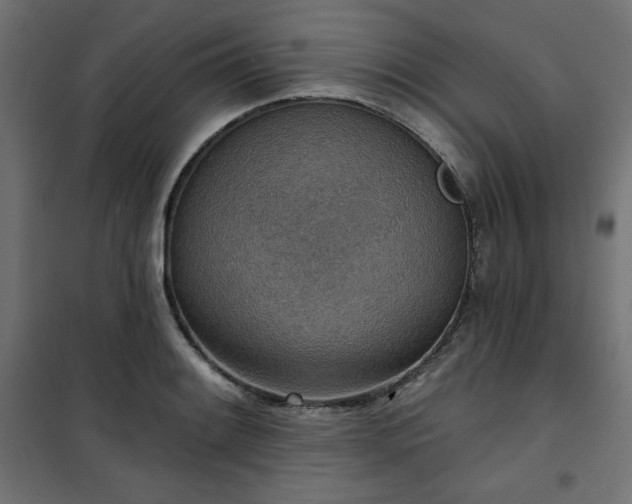 X0000101151084200807071143