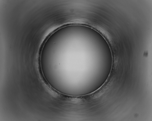 X0000101151085200807071143