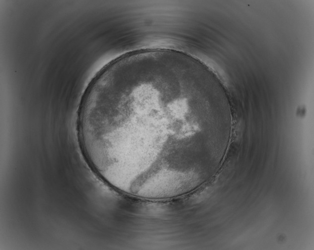 X0000101151086200807071143