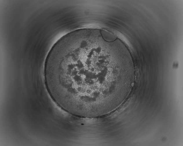 X0000101151087200807071143