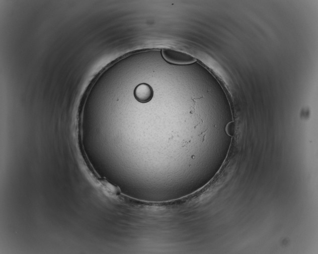 X0000101151088200807071143