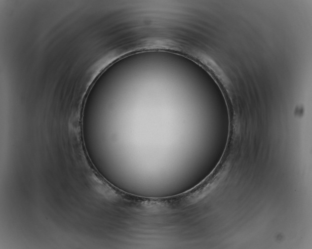 X0000101151089200807071143