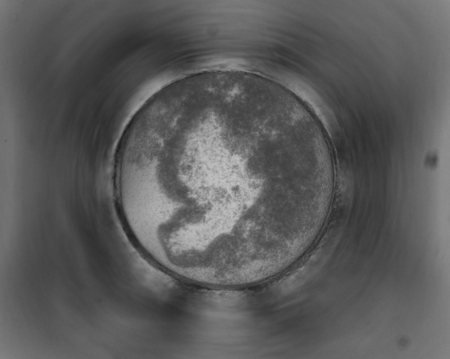 X0000101151090200807071143