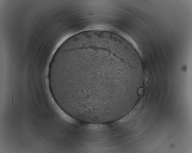 X0000101151091200807071143