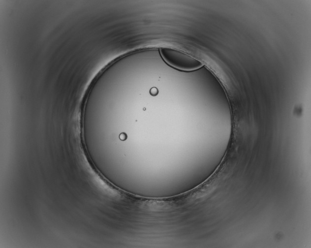 X0000101151092200807071143