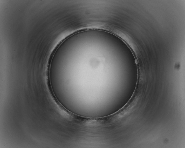 X0000101151093200807071143