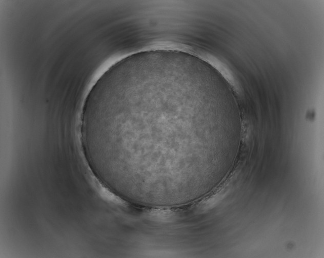 X0000101151094200807071143