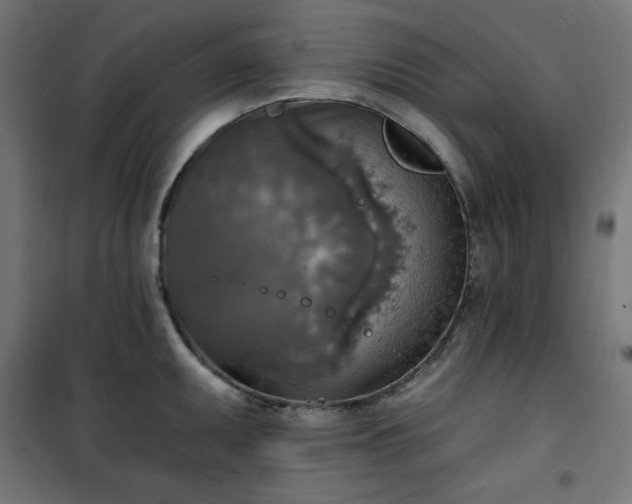 X0000101151095200807071143